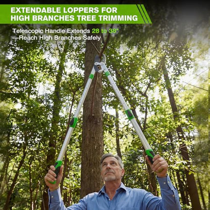 28-38" Extendable Loppers & Pruning Shears Set, SK5 Compound Action 2" Cut - style: 38" Extendable Lopper Set