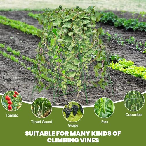 Cucumber Trellis 2 Pack,Foldable A-Frame Garden Trellis - color: Grass Green, size: 39.4" H