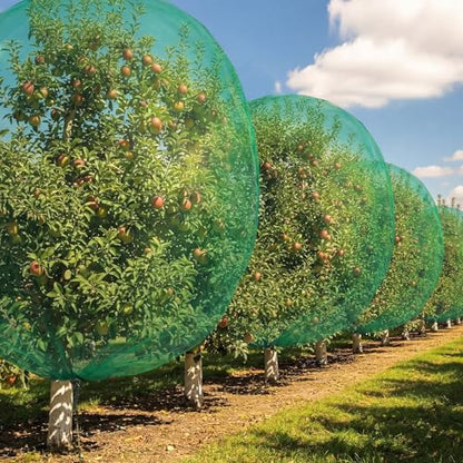 24 x 24 Ft Extra Large Fruit Tree Netting Cover with Zipper and Drawstring, Insect Bird Barrier Netting for Garden Protection, Keep Birds Squirrels Cicadas and Small Fly Out - size: 24 x 24 ft