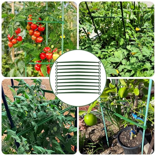 Coloch 100 Pcs Plant Stake Arms for Tomato Cage, 11.8” Expandable Plant Supports Trellis Connector with 2 Buckles for 11mm Diameter Plant Stake, for Climbing Plants, Tomato, Vegetable, Indoor&Outdoor
