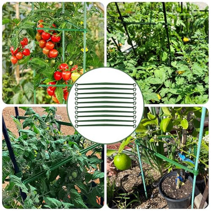 Coloch 100 Pcs Plant Stake Arms for Tomato Cage, 11.8” Expandable Plant Supports Trellis Connector with 2 Buckles for 11mm Diameter Plant Stake, for Climbing Plants, Tomato, Vegetable, Indoor&Outdoor
