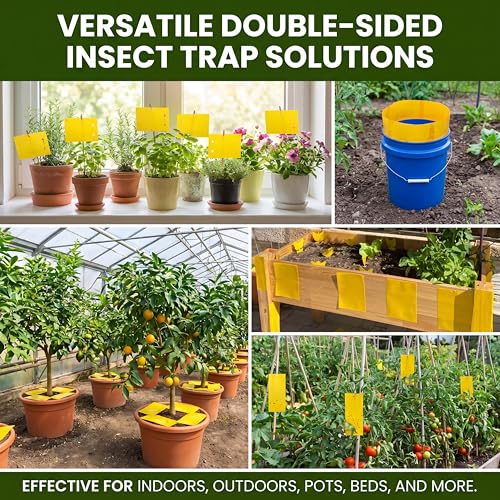 Qualirey 200 Pcs Yellow Sticky Traps for Gnats, 7.87 x 3.9 Inch - color: Yellow, size: 7.8 x 3.9 Inch