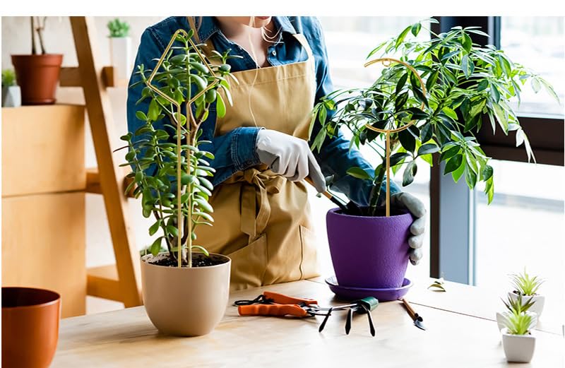 Indoor Plant Trellis 4 Pcs Small Hoop Mini Climbing Plant Support