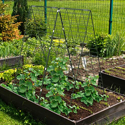 AGTEK 34" x 48" Foldable Metal Cucumber Trellis， for Climbing Plants, Cucumber, Vegetable, Flowers - size: 34"W x 48"H