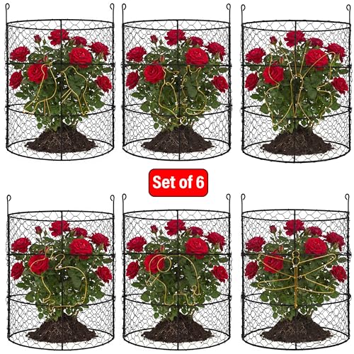 DHAMPOOH Garden Cloches for Plants, Outdoor Plant Protectors, 8 Pack - size: Pack of 8