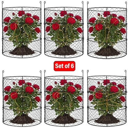 DHAMPOOH Garden Cloches for Plants, Outdoor Plant Protectors, 8 Pack - size: Pack of 8