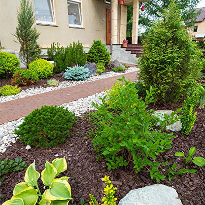 Southwest Boulder & Stone Weed Barrier | Landscape Fabric for Outdoor Gardens | Black Commercial Grade Weed Block Cloth | Heavy-Duty Landscaping Material 3' x 100' - size: 3' x 100'