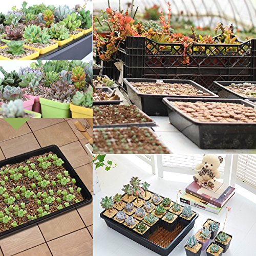 eZAKKA 14.6" x 11.8" Seed Starter Tray Kit with Dome, 20 Cells, Black - color: Black Pots