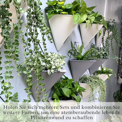 LaLaGreen Wall Planters for Indoor Plants (12in, 2 Pack) White Planter - color: White X 2 Pack
