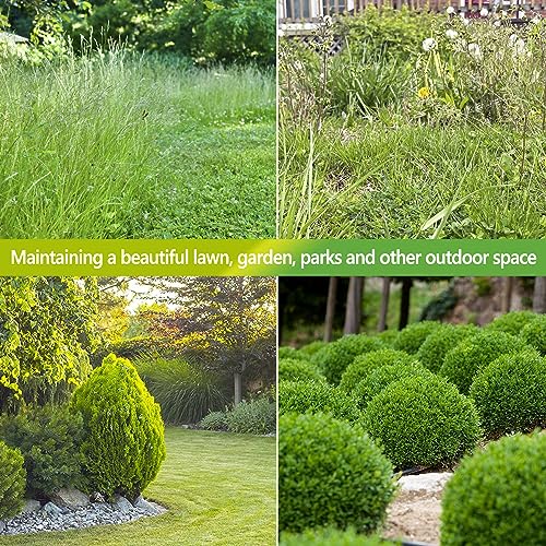 Hedge Trimmer Cordless 2 in 1 Handheld Grass Shears Mini Shrubbery Grass Cutter Electric Brush with Battery and Charger (Mordern)