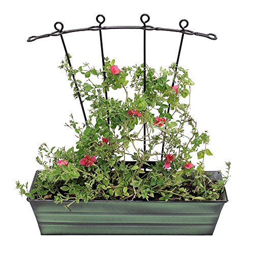 Achla Designs Galvanized Window Flower Box Planter-Green-Small (22" L x 6" W x 5" H) - color: Green, size: Small