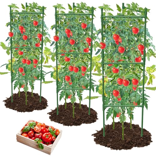 3 Pack Tomato Cage,Tomato Cage for Raised Garden Bed, 48'' Tall Tomato Trellis Triangle or Square Cages for Garden,Pots, Plant Cages & Supports（Green, Extra Bold ） - style: 3 pack