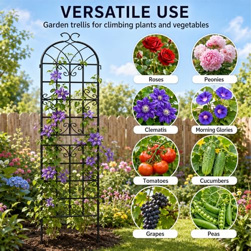 4-Pack 87" x 20" Butterfly Arch Black Metal Garden Trellises - color: 4 Pack 87"- Butterfly Black