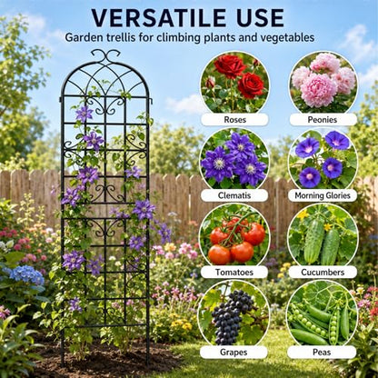 4-Pack 87" x 20" Butterfly Arch Black Metal Garden Trellises - color: 4 Pack 87"- Butterfly Black