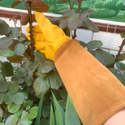 Rose Pruning Gloves for Women/Men，Long gardening Gloves Roses/Gardening/Logging/Farm/Cactus - size: Small