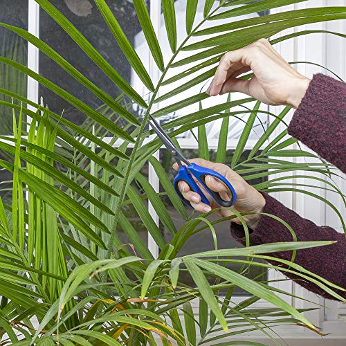 Happy Hydro Trimming Scissors - Straight Tip - 60mm Teflon Blades - Ergonomic Comfort Grip Handles