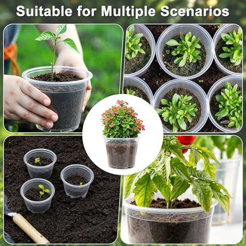 M METERXITY 20 Pack Clear Nursery Pots with Drainage Holes, Sturdy Plastic Seedling Starter Pots for Plants, Vegetable, Succulent, Propagation, Root Cutting, Seed Starting [6'' x 5''] - size: 5.91''