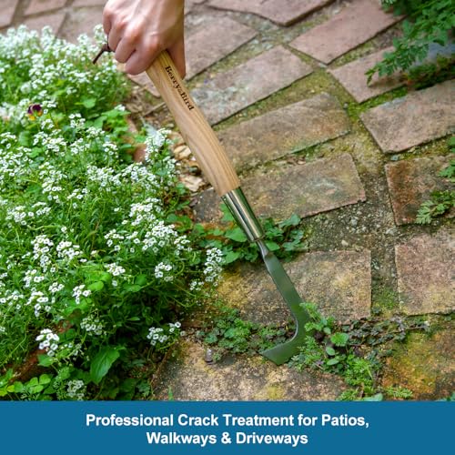 Crack Weeder Tool, L-Shaped Crevice Weeding Tool Garden Tools