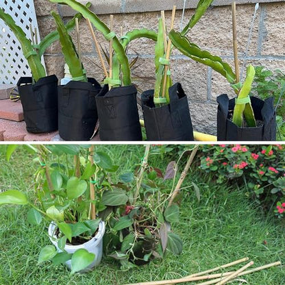 50Pcs / 3ft Bamboo Plant Stakes for Indoor Outdoor Plants, Garden Plant Support Sticks, Poles for Tomato Vegetables Beans Trees Potted Climbing Plants(0.32''-0.4'') - size: 3 FT 50PCS