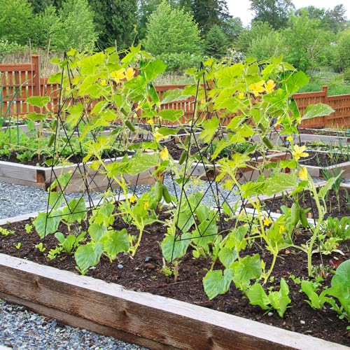 Cucumber Trellis 2 Pack,Foldable A-Frame Garden Trellis - color: Black, size: 39.4" H
