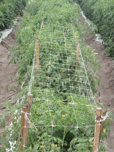 TENAX 1A140318 Trellis Net, White - size: 48" x 1,500'