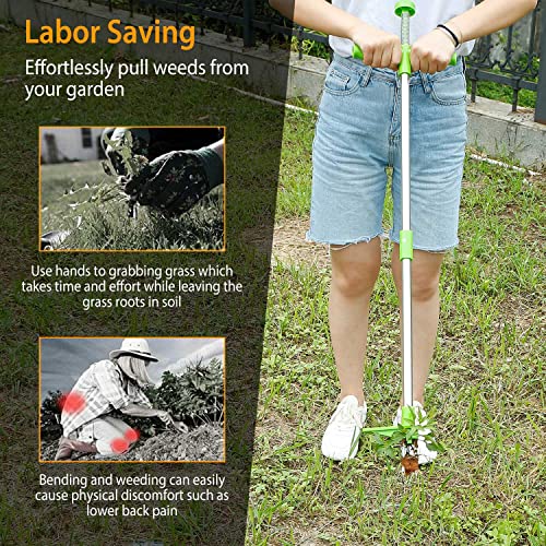 Weed Puller Tool, Stand-Up Weed Remover 3 Claws Aluminum Grass Manual Weeder 38.98in Long Handle with Foot Pedal, Quick-Release Weed for Easy Weeding
