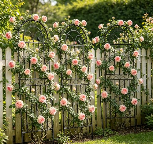2 Pack 47.2"x19.7" Metal Gardon Trellis for Climbing Plants Outdoor, Black - size: 2P: 47.2" H x 19.7" W