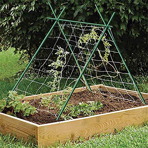 Garden Stakes 5/16" Dia, 5 FT FRP Plant Supporting Stakes for Climbing Tomato Cucumber Strawberry Bean Tree, Pack of 20, Dark Green - size: 5/16"Dia x 5Ft Height(20 packs)