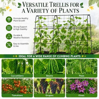 FOLLOOK Cucumber Trellis for Raised Garden Bed, 63x48inch, Black - color: Black, size: 63x48inch