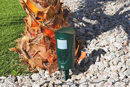 Cleanrth TSAR520 Advanced Ultrasonic Animal Repeller – Triple Scan Technology for Powerful Deterrence of Raccoons, Squirrels, Dogs, Cats, Badgers, Rabbits, Deer, Coyotes, and More