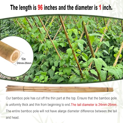 Natural Bamboo Plant Stakes (8ft-10PCS) - size: 8ft-10PCS