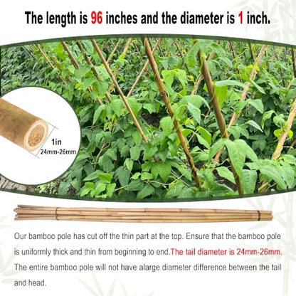 Natural Bamboo Plant Stakes (8ft-10PCS) - size: 8ft-10PCS