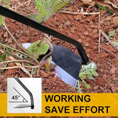 Hanpex Japanese Wide Blade Gardening Tools I Premium Quality Hand Hoes/Weeding Sickle Have Very Sharp Edge for Quick Work - style: Long Handle