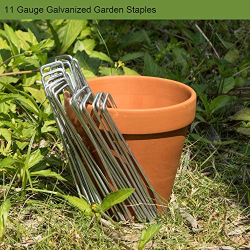 AAGUT Landscape Staples 6 Inch Galvanized Anti-Rust Garden Stakes 11 Gauge - color: Silver, size: 6'' x 200Pcs-11Ga