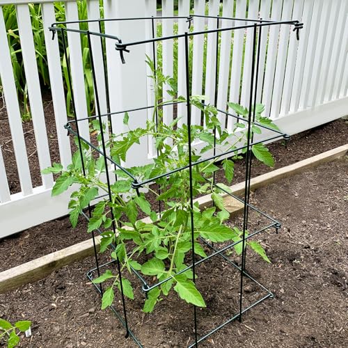 Ferry-Morse 4-Piece Multi-Use Tomato Cage & Trellis Garden Plant Support