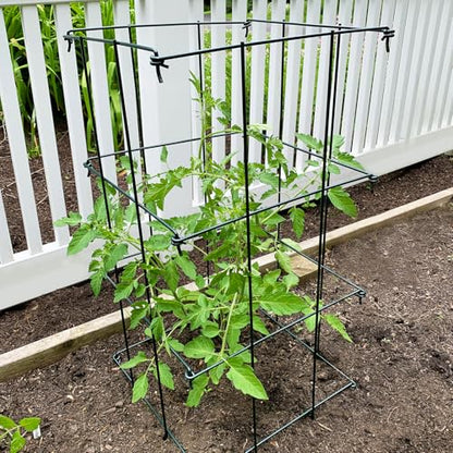 Ferry-Morse 4-Piece Multi-Use Tomato Cage & Trellis Garden Plant Support
