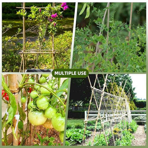 Bamboo Stakes,4.8Ft,50Pack,Bamboo Garden Stakes,for Tomato,Beans,Vegetable and Flowers, Potted Plants,Indoor and Outdoor Climbing Plants - size: 4.8Ft,50Pack