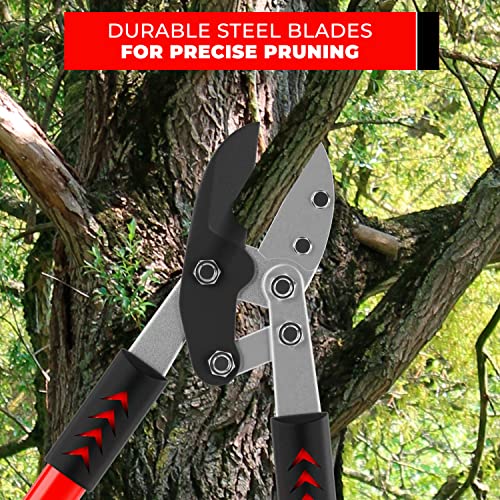 TABOR TOOLS GG12A Anvil Lopper with Compound Action, 30 Inch Tree Trimmer & Branch Cutter, Heavy Duty Tree Pruner with 2 Inch Cut Capacity, Chops Thick Dry Branches with Ease - style: GG12A 30 Inch Anvil Lopper with lever