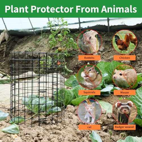 5 Pack Plant Protector from Animals, 12x12 Inches Wire Plant Protector, Plant Cages to Keep Rabbits Out - size: 5 Pack, 12"x12"