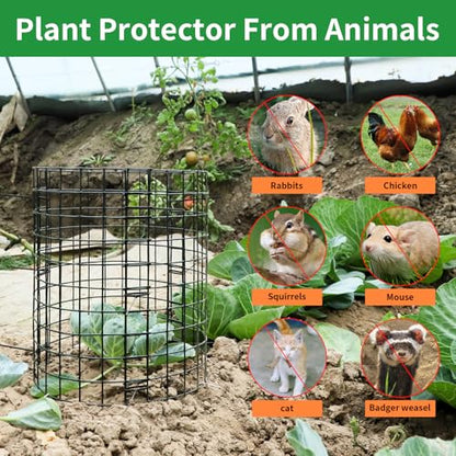 5 Pack Plant Protector from Animals, 12x12 Inches Wire Plant Protector, Plant Cages to Keep Rabbits Out - size: 5 Pack, 12"x12"