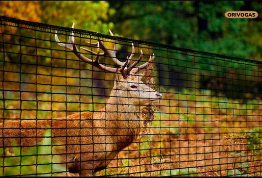 Deer Fence Netting,Plastic Mesh Fence 6.5x50ft,Reinforced Edges 55gsm Heavy Duty Animal Barrier,Ideal for Garden Netting,Against Bird,Temporary Fence,Fruit Plant Protection,Black - size: 6.5ft*50ft