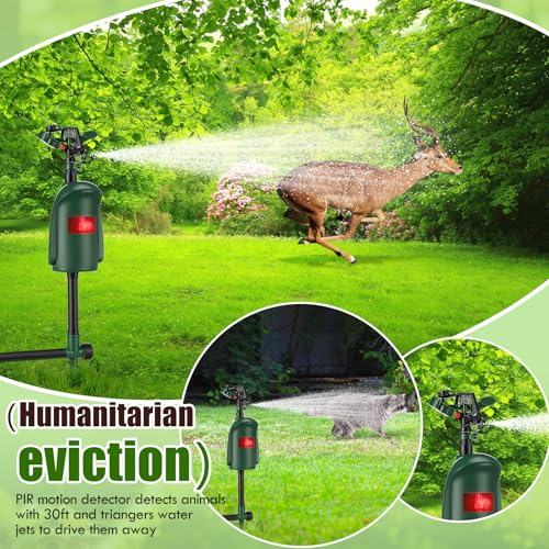 Qualirey Motion Activated Sprinkler Motion Activated Cat Deterrent Deer Repellent Animal Deterrent Devices for Garden Outdoor Need 3/4 Inch Hose Quick Coupler（Not Included）(2 Pack)