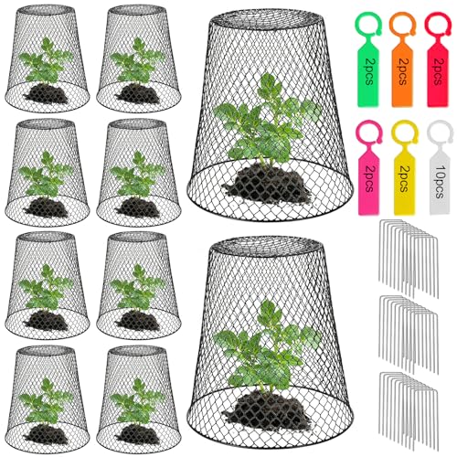 10 Pack 9.13"×9.13" Chicken Wire Cloche Plant Covers - Garden Plant Cloche Metal Heavy Duty Plant Protectors from Animals for Keeping Bunnies Chicken Squirrels Birds Other Out (10, Black)