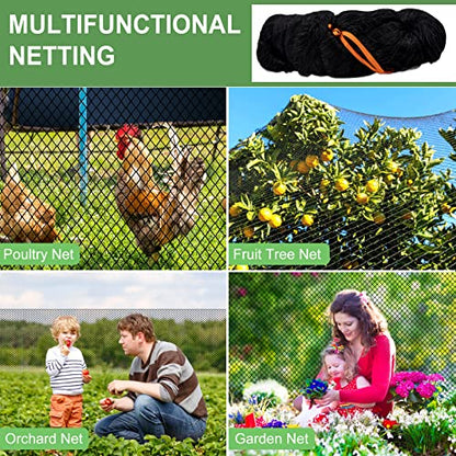 DQS Bird Netting 50' x 100' with 1" Mesh, Poultry Netting for Chicken Coop - size: 1", 50' x100'