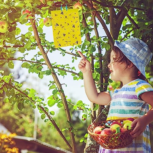 60 Pack Yellow Sticky Traps for Gnats, Fruit Fly Traps for Indoors Plants - size: 60Packs