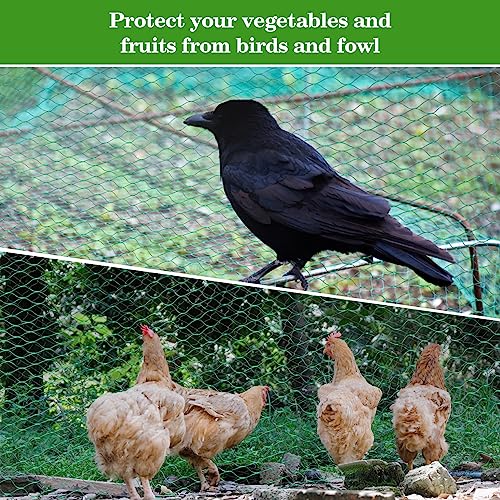 Sukh Bird Netting for Garden 13x33ft - Mesh Net for Garden Protection
