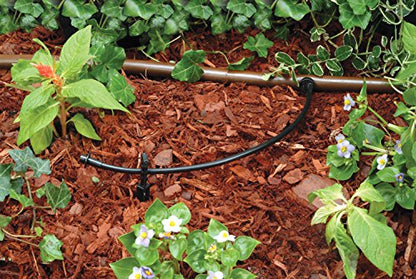 Rain Bird LNDDRIPKIT Drip Irrigation Kit - size: Standard Kit, style: Landscape/Garden Kit