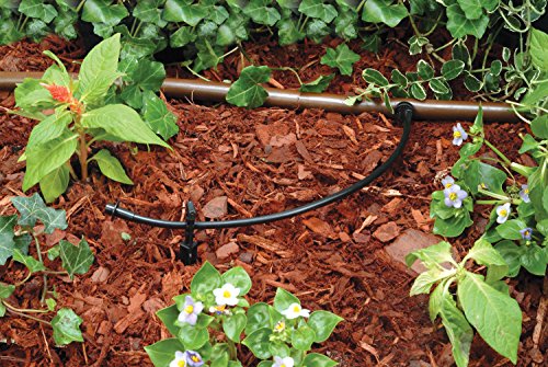 Rain Bird T22-250S Drip Irrigation 1/4" Blank Distribution Tubing, 250' Roll, Black (Pack of 4) - size: 250' Roll (Pack of 4), style: Distribution Tubing