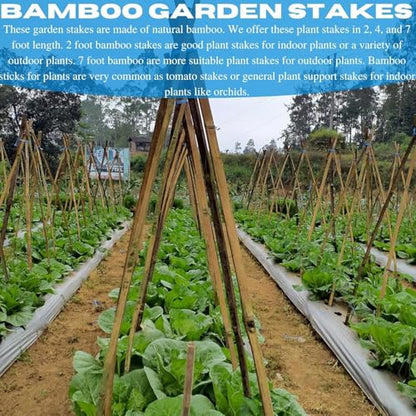 VBS - Bamboo Garden Stakes - Bambo Sticks, Bamboo Plant Stakes for Outdoor Plants, Plant Support Stakes for Indoor Plants (7 Foot - 20 Pack) - size: 7 Foot - 20 Pack
