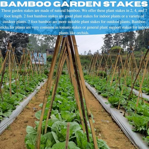 VBS - Bamboo Garden Stakes - Bambo Sticks, Bamboo Plant Stakes for Outdoor Plants, Plant Support Stakes for Indoor Plants (7 Foot - 10 Pack) - size: 7 Foot - 10 Pack